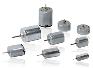 Brush DC Motor